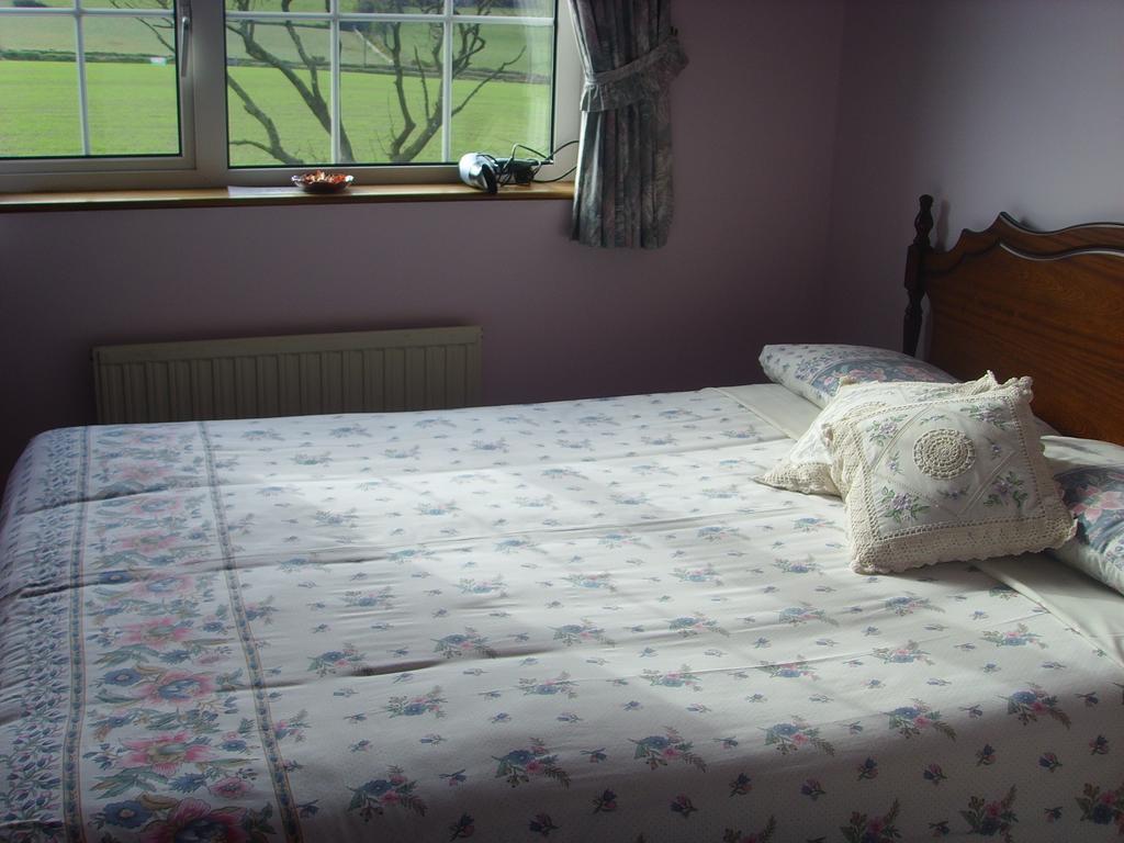 Springfield House B&B Clonakilty Pokój zdjęcie
