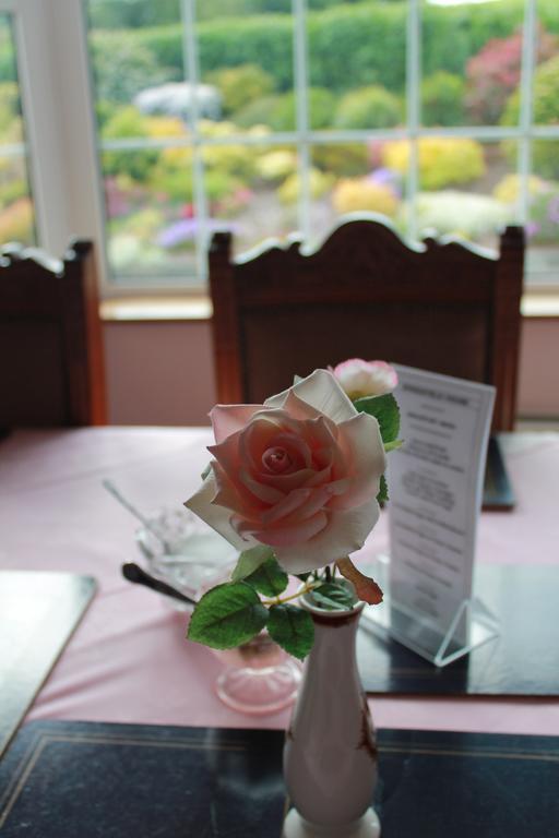 Springfield House B&B Clonakilty Zewnętrze zdjęcie
