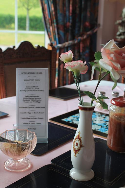 Springfield House B&B Clonakilty Zewnętrze zdjęcie